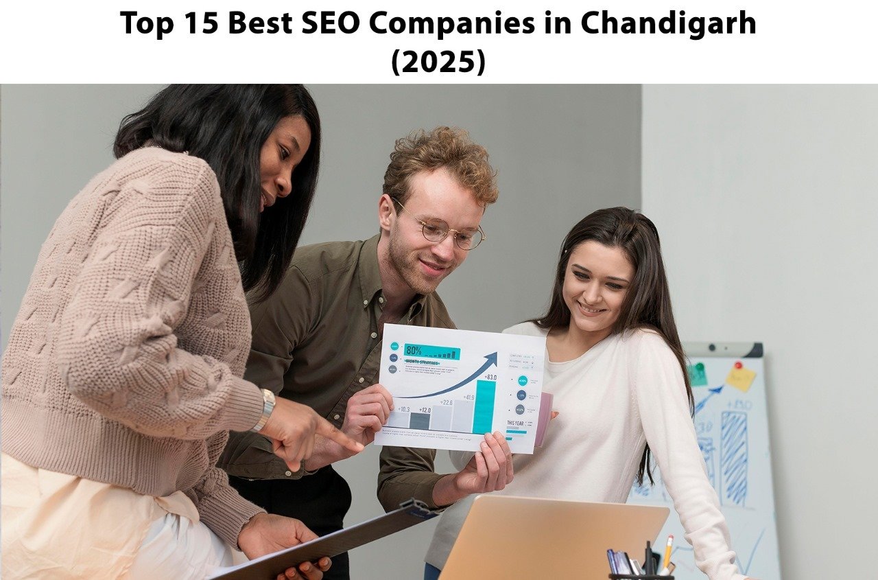 Top 15 Best SEO Companies in Chandigarh (2025)