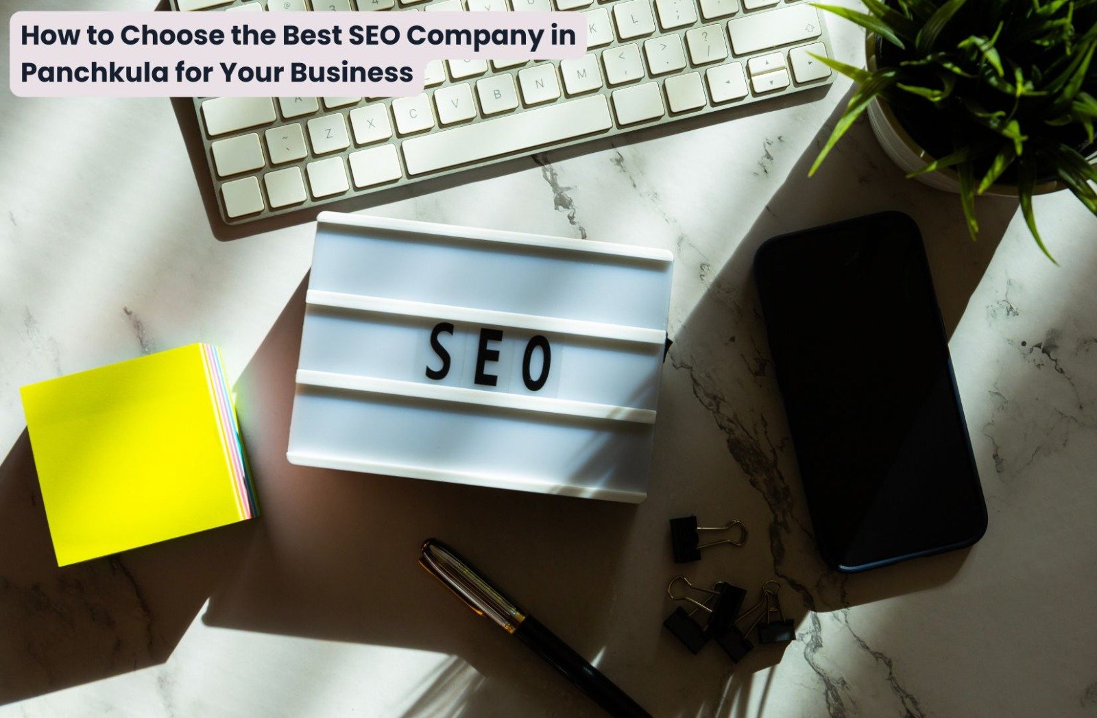 How to Choose the Best SEO Company in Panchkula for Your Business